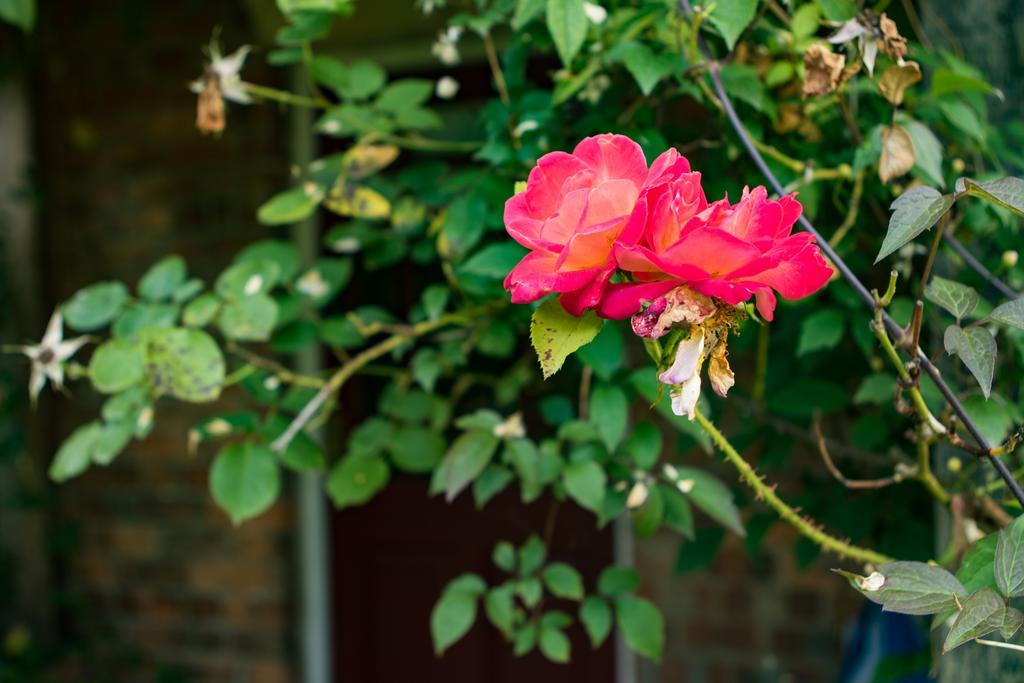 Mareham House Bed & Breakfast Sleaford Eksteriør bilde